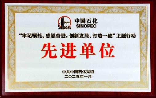公司喜獲“主題行動(dòng)先進(jìn)單位”稱號(hào)